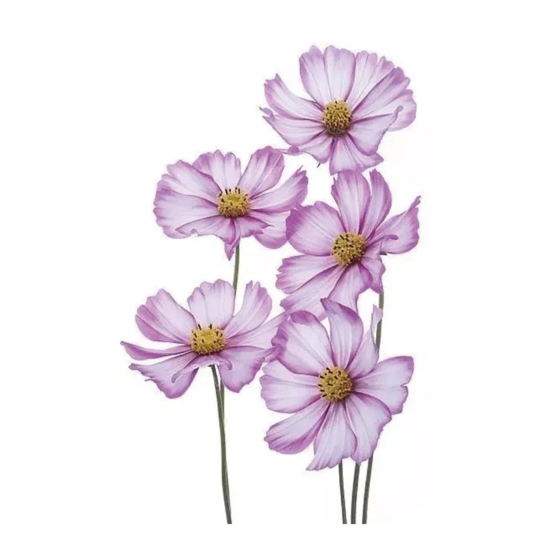 Watercolor Lavender Flower Temporary Tattoos For Women Body Art Arm Fake Flora Adults Tattoo Sticker