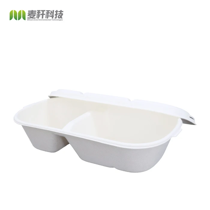 
New item Biodegradable sugarcane paper pulp disposable food packaging meal 2 section dinner container with lid 