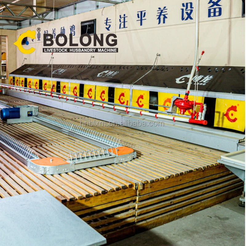 BOLONG poultry automation equipment chicken poultry farm equipment free range chicken barn
