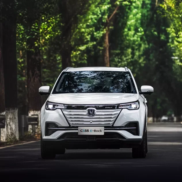 Good price 5 seat Chinese Changan Electric new car Automobile