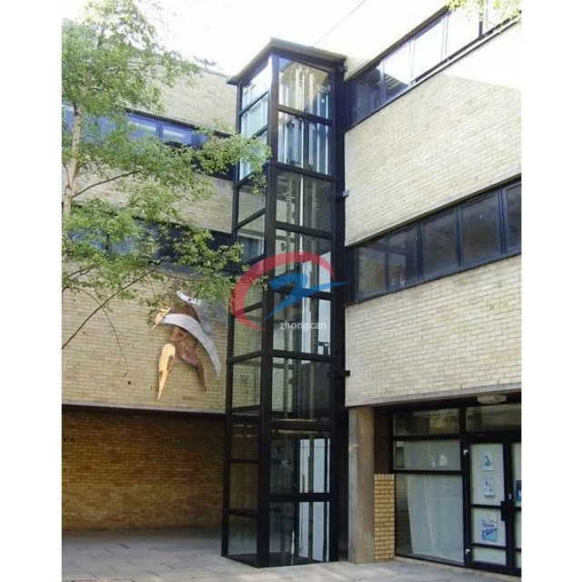 Homemade Elevators Stainless Steel Silent Glass Enclosure Residential Villa Elevator Hydraulic Home Lift for 2-4 Floors