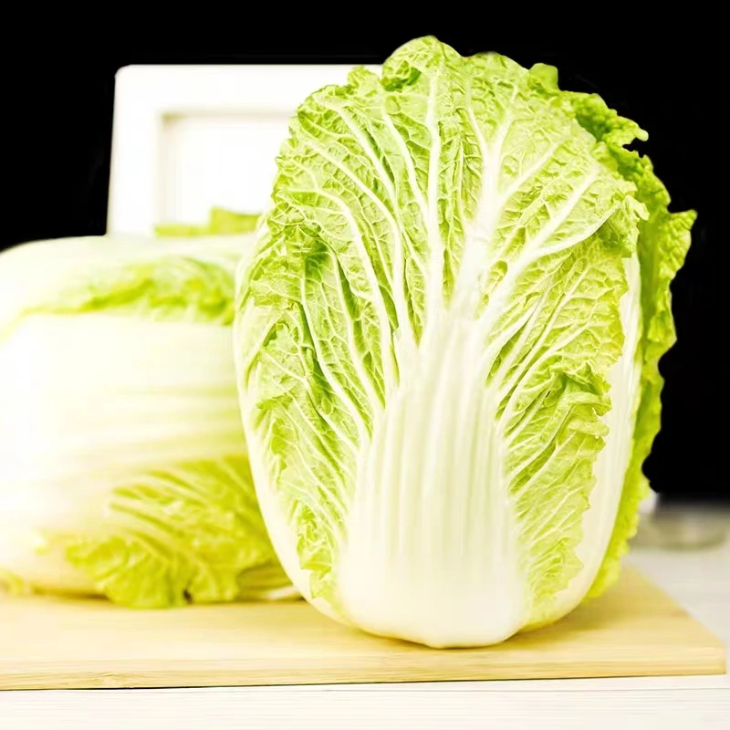 Fresh pesticide-free green cabbage