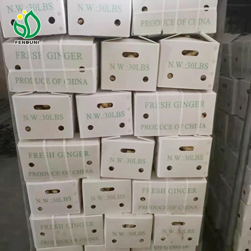 Shandong тщательно подобранная стирка и сухая имбирь свежий/Новый ПВХ картонная упаковка для экспорта