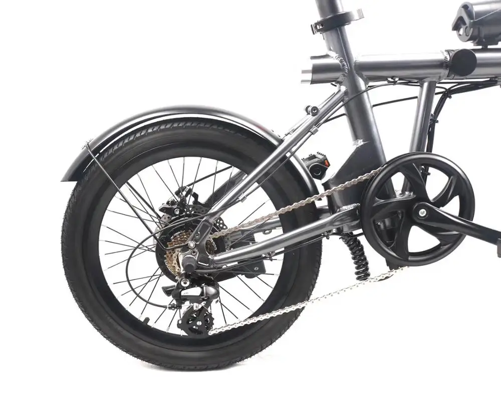 RAINTUNG Ebike Folding Bicycle 20 Inch Folding Electric Bike 250W Portable Electric Foldable