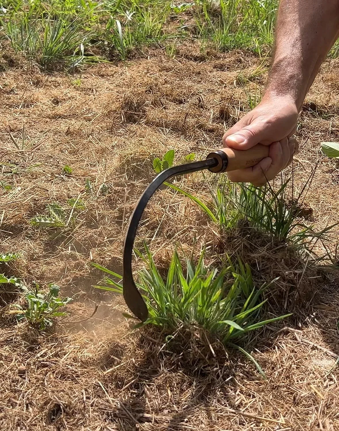 Original Weeder & Cultivator Garden Hand Tool Forged Steel Blade Garden Hook Lightweight and Durable to Use