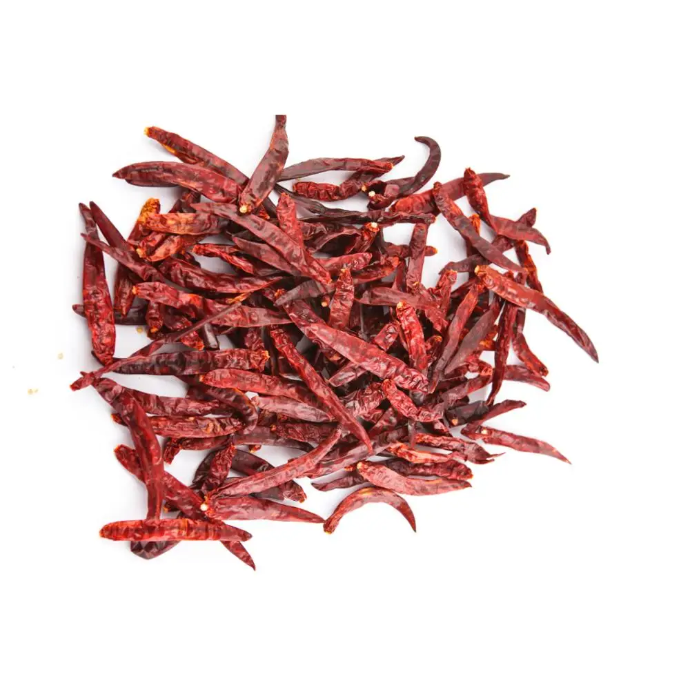 Long Wrinkled Chilly from India with good quality and also having different variety of packing