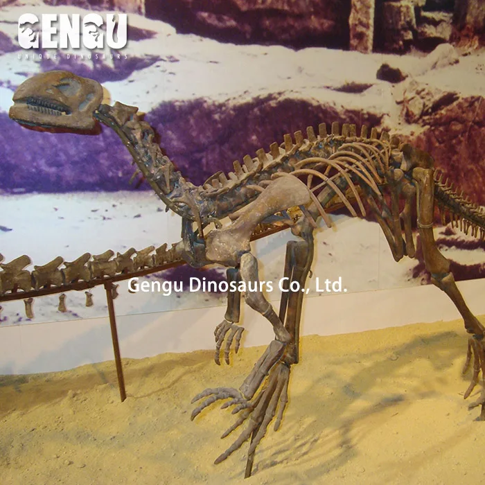 Fiberglass Dinosaur Fossil Statue Hanging Dinosaur Skeleton