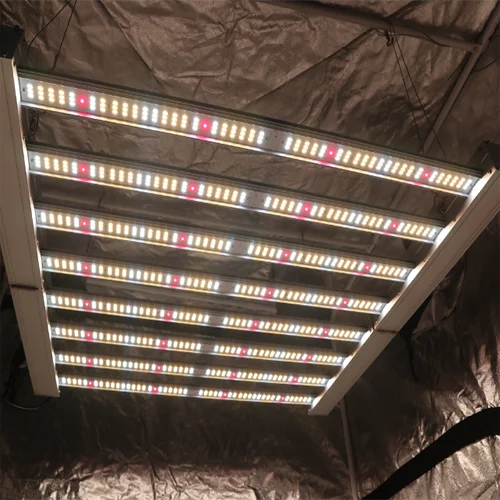 hydroponic 720w led grow light horticulture for indoor cultivation hydroponic growing systems