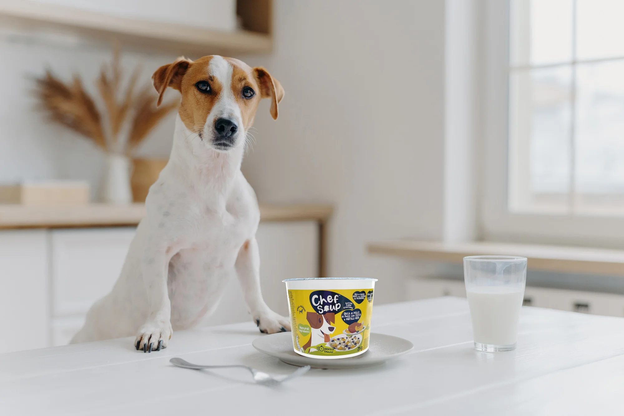 Best Selling Italian Brand 25G Soup Rich In Chicken Pieces With Pumpkin And Blueberries For Wholesale