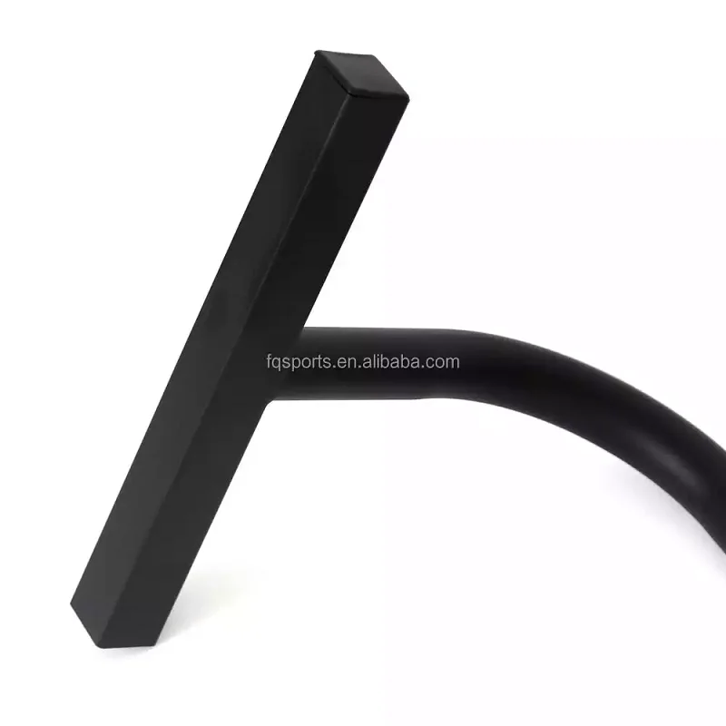 High Quality Fitness Body Building Gym Accessories Push Up Dip Parallel Bars