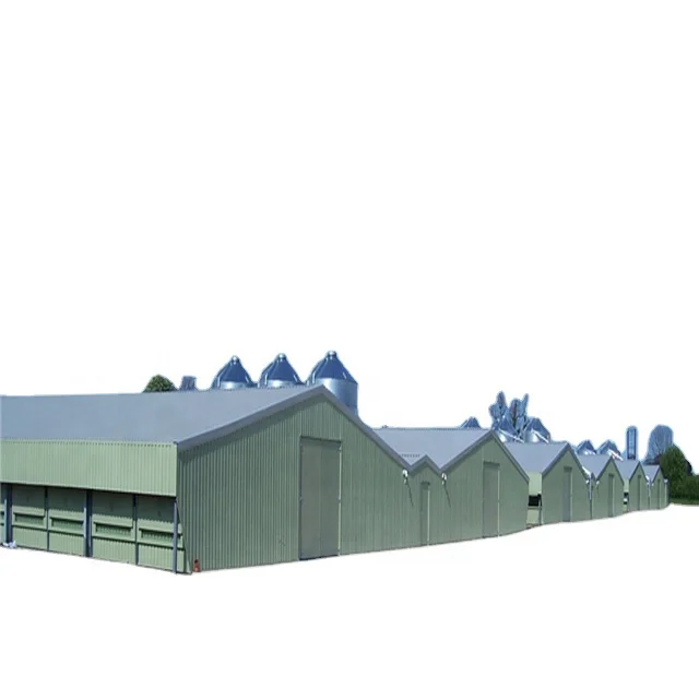 Fast Build Modern Poultry Farm Light Steel Structure Building Poultry Chicken House