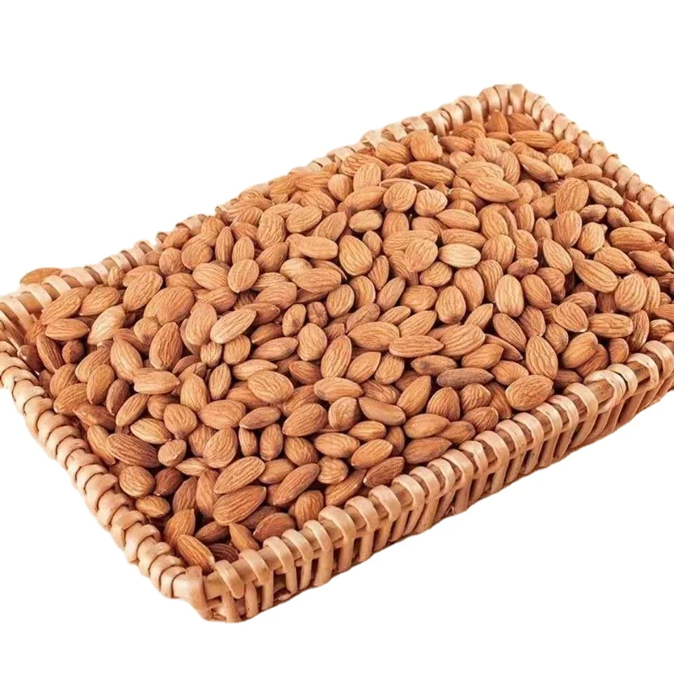Wholesale Raw Bitter Almonds Bitter Apricot Kernels Excellent Quality of Apricot Kernel