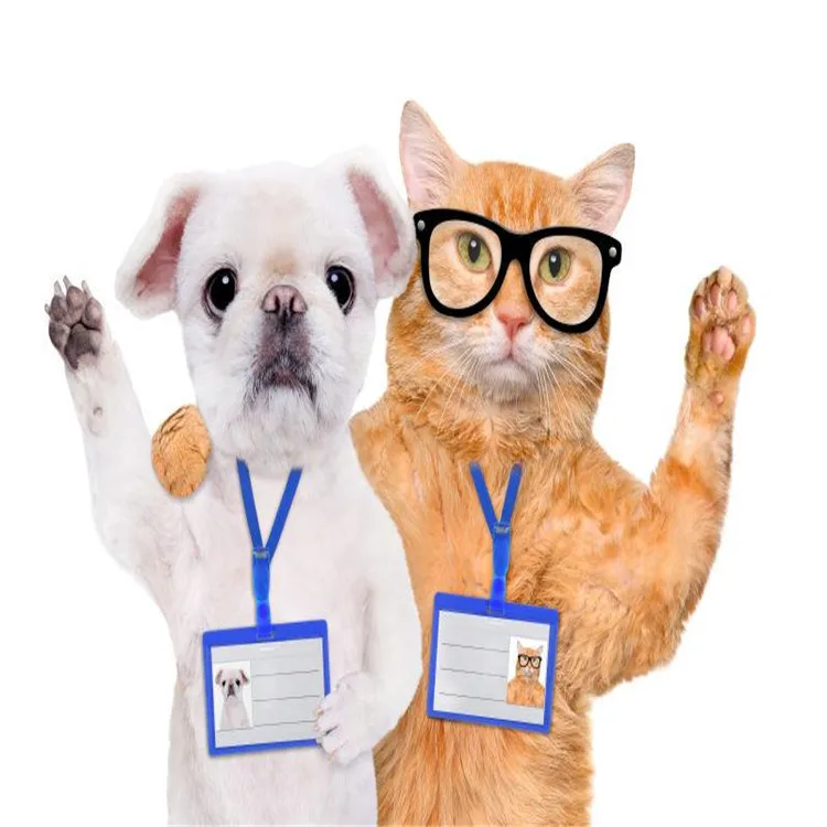 Consulting Service for cat FIPV 5.5 Prevention