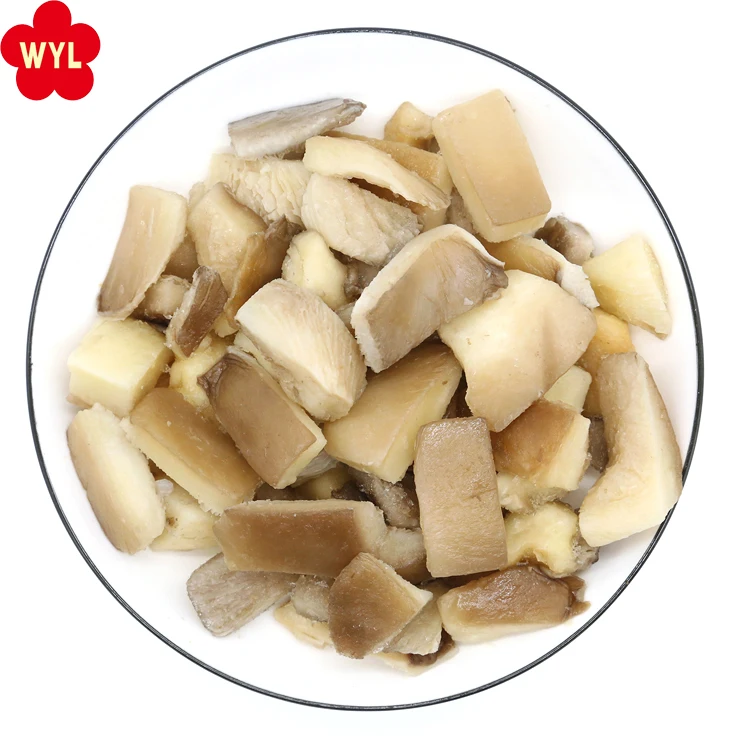 Hot selling IQF Fresh premium mushroom frozen oyster mushroom