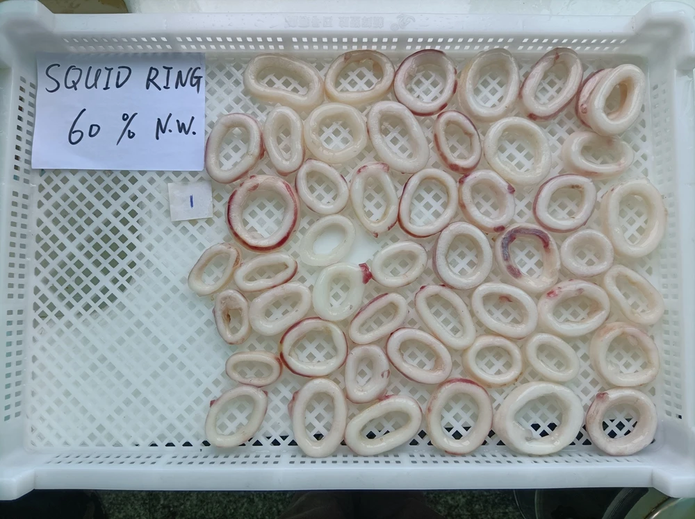 Clean Squid Rings Led Squid Ring Frozen Blanched Squid Rings