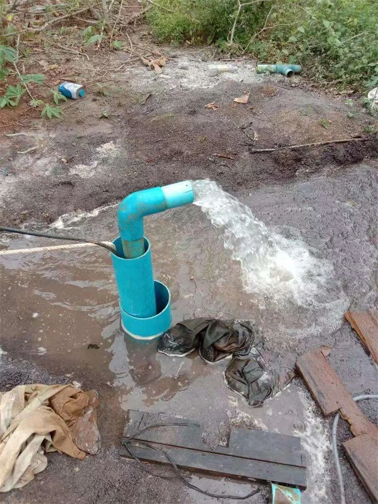 Agriculture Irrigation High Pressure 1500w 2hp Stainless impeller Pompe Solaire Solar Power Dc Submersible Water Pump