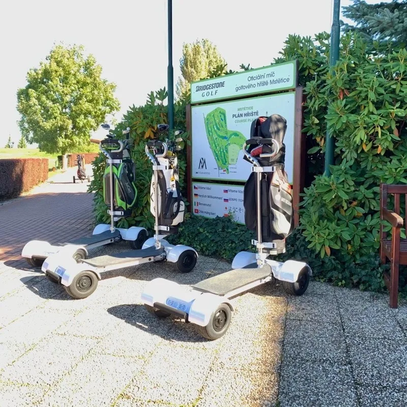  LSY Популярные golfboard/детскй 4-колесный электрический скутер способный преодолевать Броды для взрослых 60V 10 5 дюйма покрышки доска