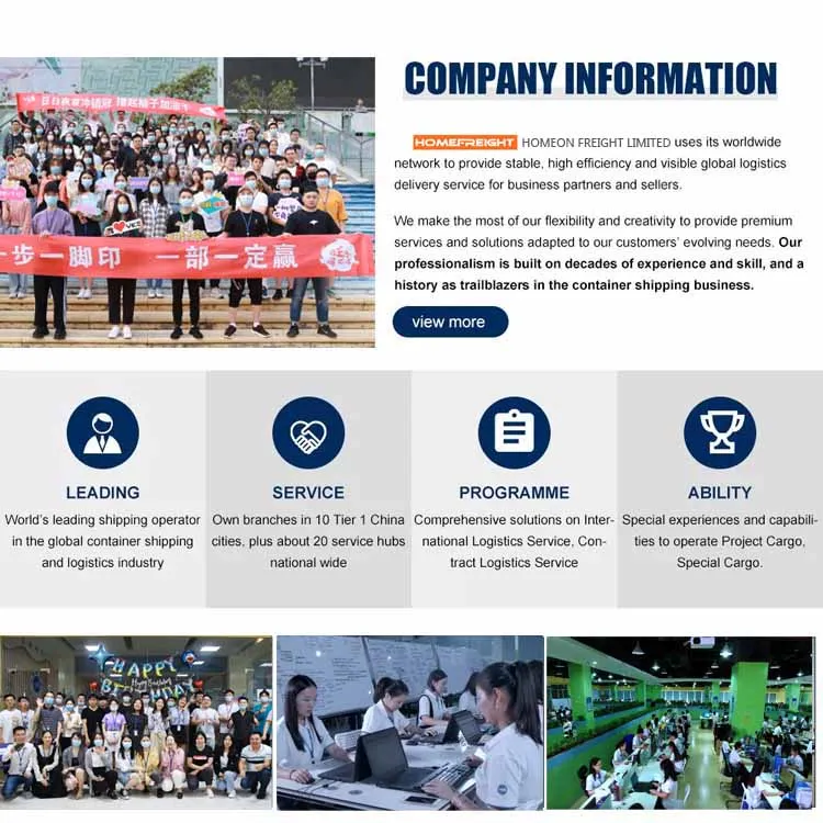 Homefreigt Amazon Parcels Shipping Agent Free Warehouse/Label/Repack Services DDP By Express/Sea/Air/Train