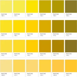 D30mm Plastic cosmetic empty packaging applicator concealer bb cream tube with sponge