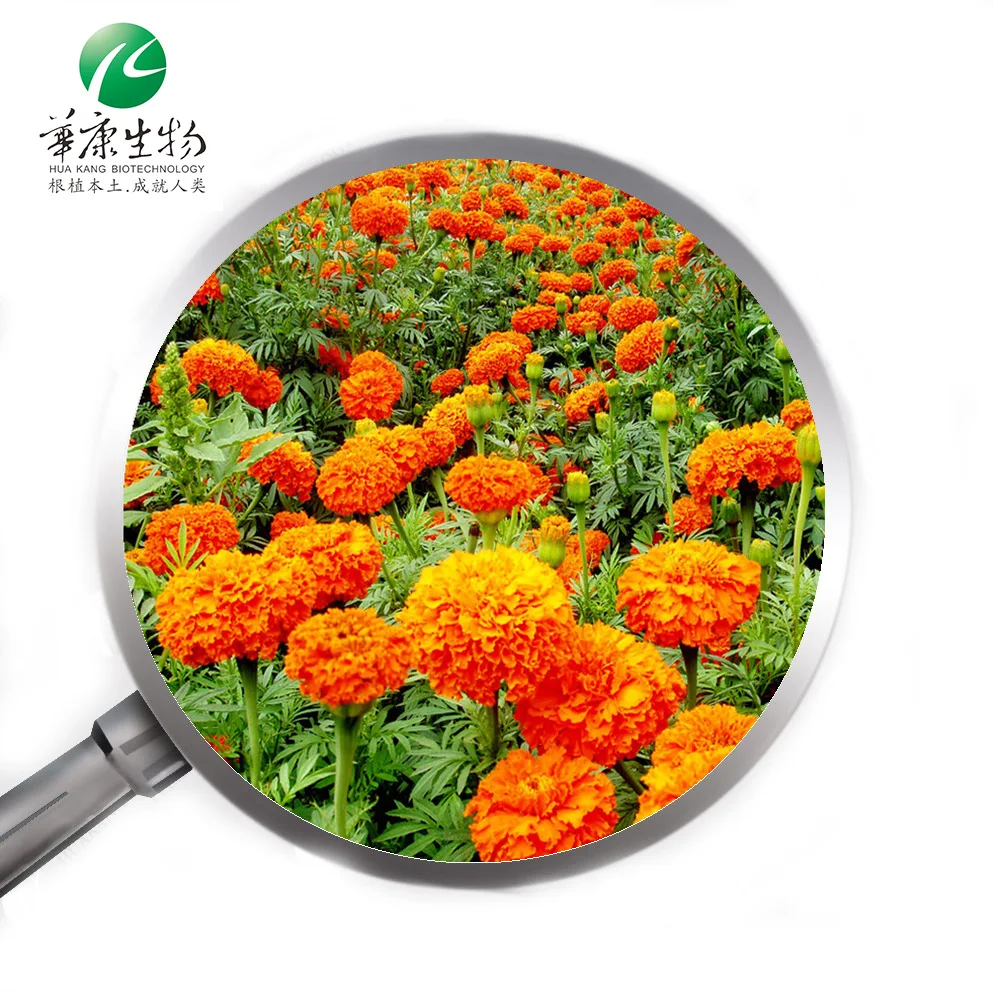 Marigold extract Lutein 5%-98% ORGANIC/HALAL/KOSHER/HACCP Certifications
