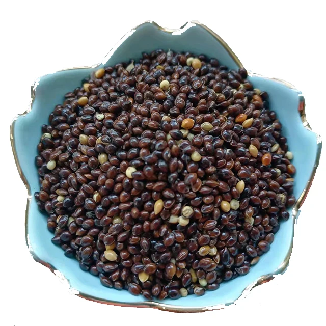 Кормовые урожая для домашнего скота и птицы с высокой урожайностью семян сорго