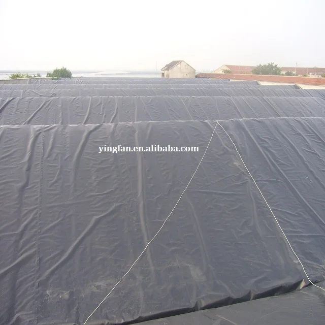 2024 Factory price eel pond liner 0.75mm hdpe Geomembrane sheet for promotion
