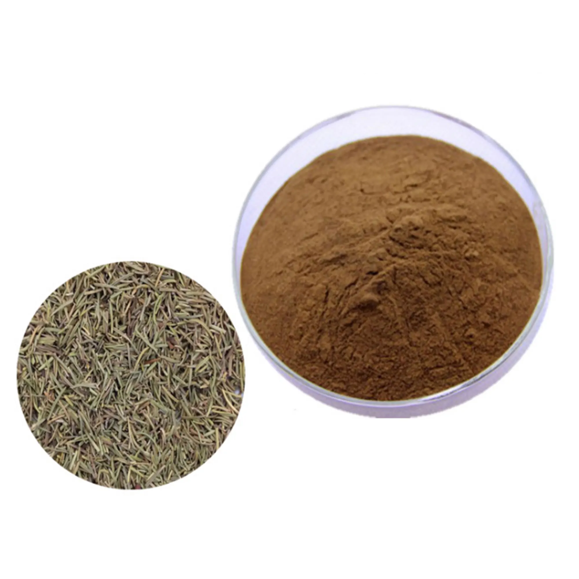 OEM hot selling Rosmarinic acid extracts 100% natural plant extract