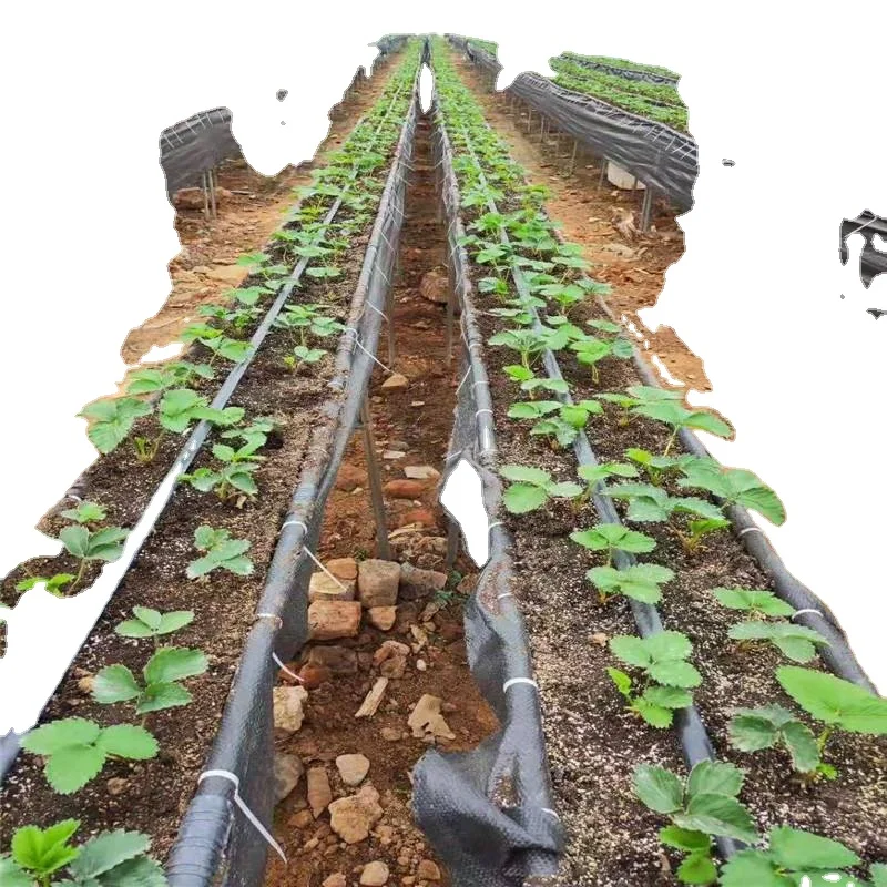 Drip pipe  with round cylindrical drip irrigation pipe