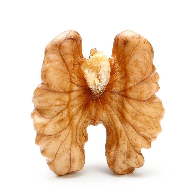 High Quality Cheap Price walnuts kernel shell raw walnut kernel