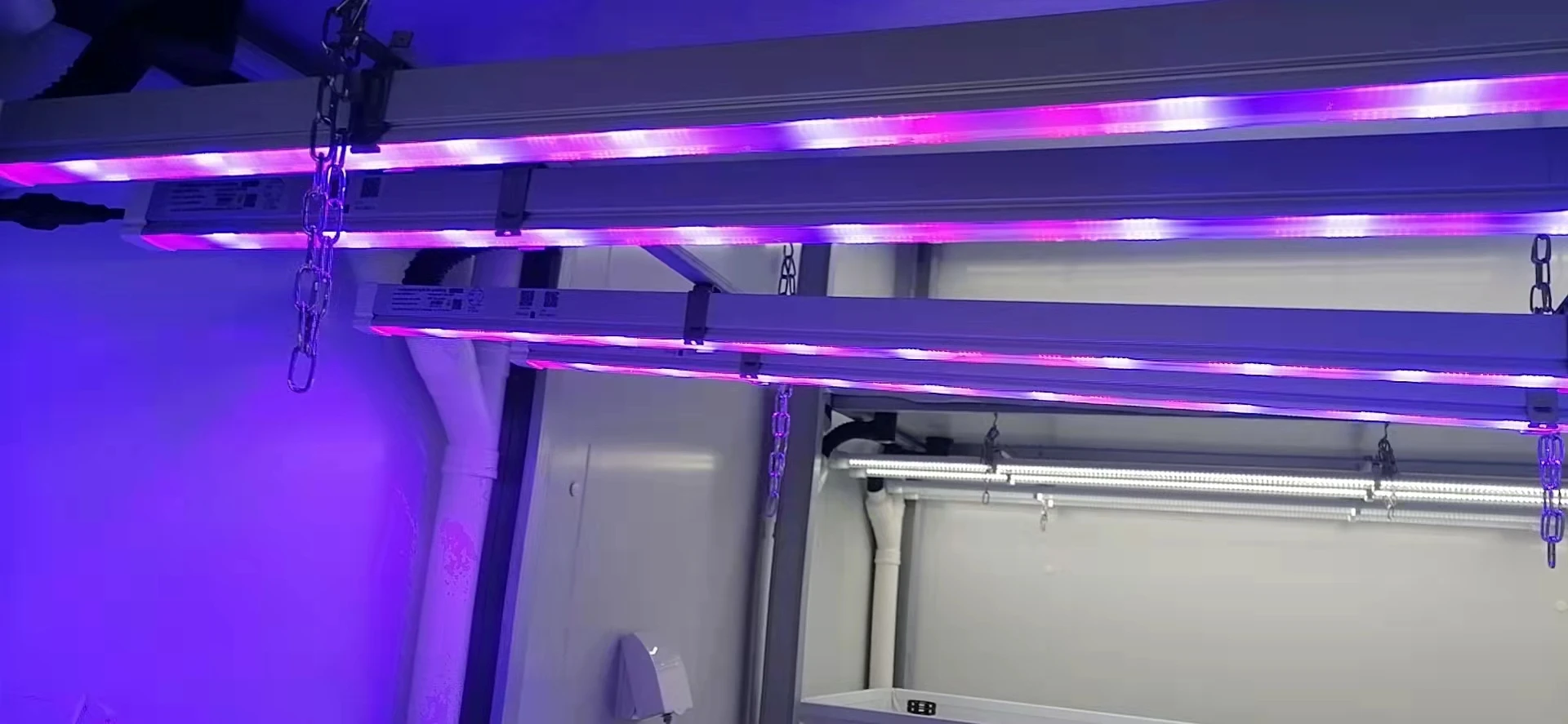 Customized 36W Dimming Led Grow Light Bar for Veg Flower medicinal Plants Growing