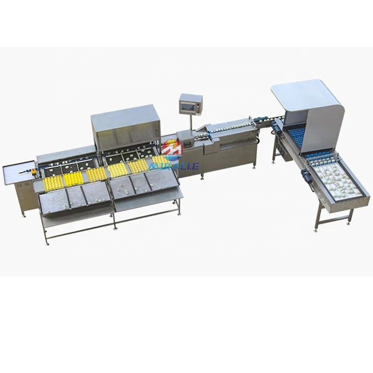 Commercial Customized Egg Grading And Packing Machine
