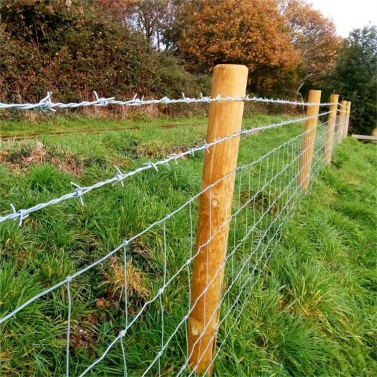 Factory Outlet Barbed Wire/ Razor Wire / Galvanized or PVC Coated/ 500kgf
