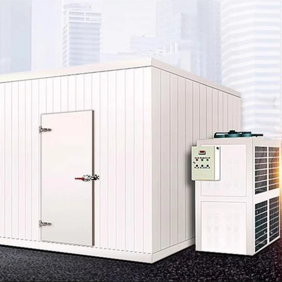 Индивидуальные все размеры Коммерческая Кухня прохладная комната холодного хранения прогулка в холодильнике с морозильной камерой