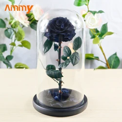 Ammy Factory Preserved Flower Rose Big Prince 3 Red Roses  Forever Flowers Eternal Roses In Glass Dome For Valentines Day Gifts