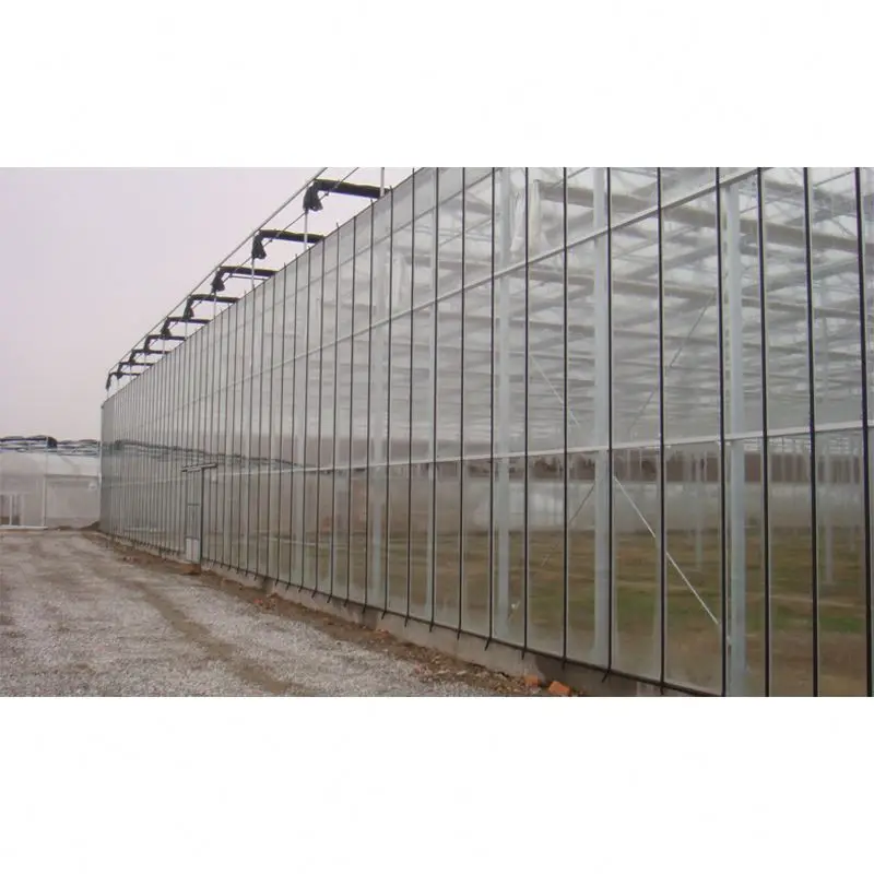 
Commercial Glass Greenhouse Used For Sale 