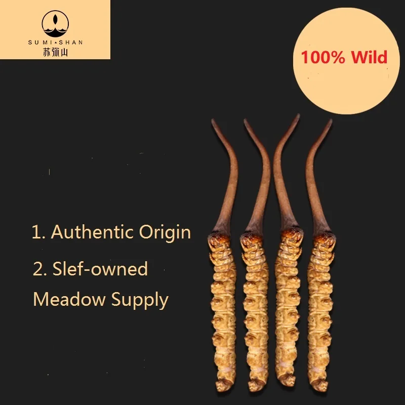 
Tibetan Origin Cordyceps Good for Men Wild Aweto Anti-Virus Winterworm Summerherb 