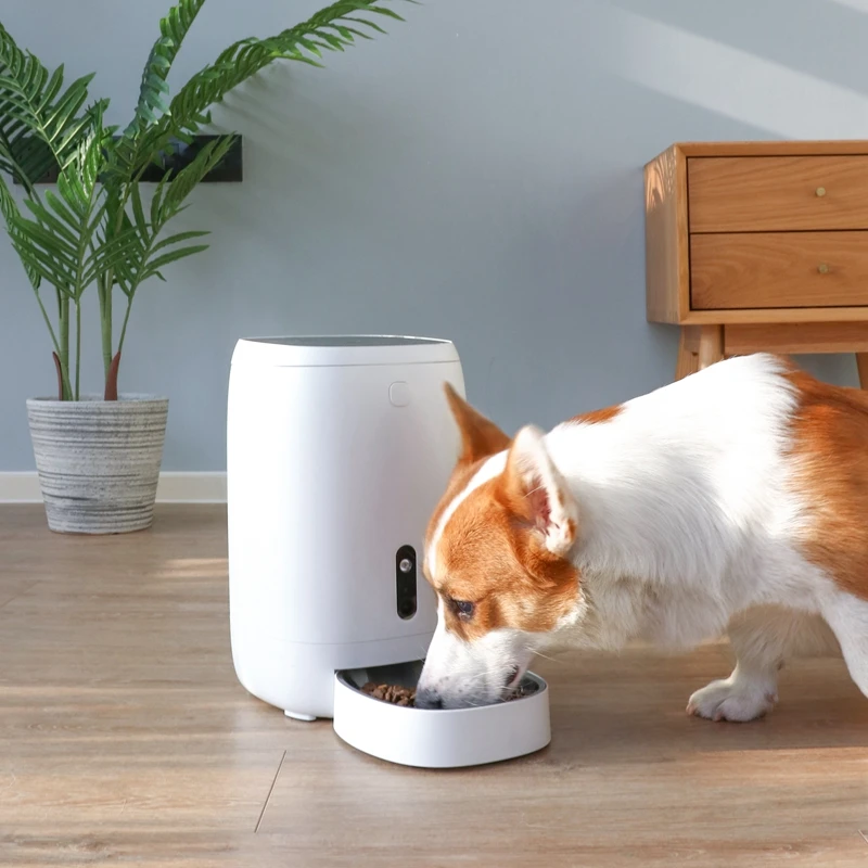 
Promotional wifi remote camera control 4L dog food feeder smart interactive pet dispenser microchip automatic pet feeder 