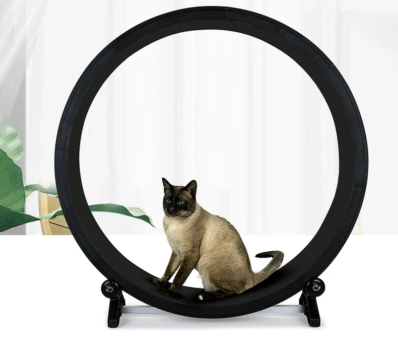 Kingtale High Quality Exercise Treadmill Cat Running Wheel Easy Assemble Large Size Cat Indoor Sustainable Cats for Cars Wheels