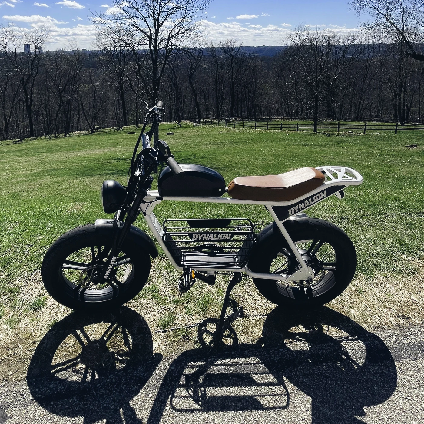 Cheap Price Mountain Bike 2 Seater Electric