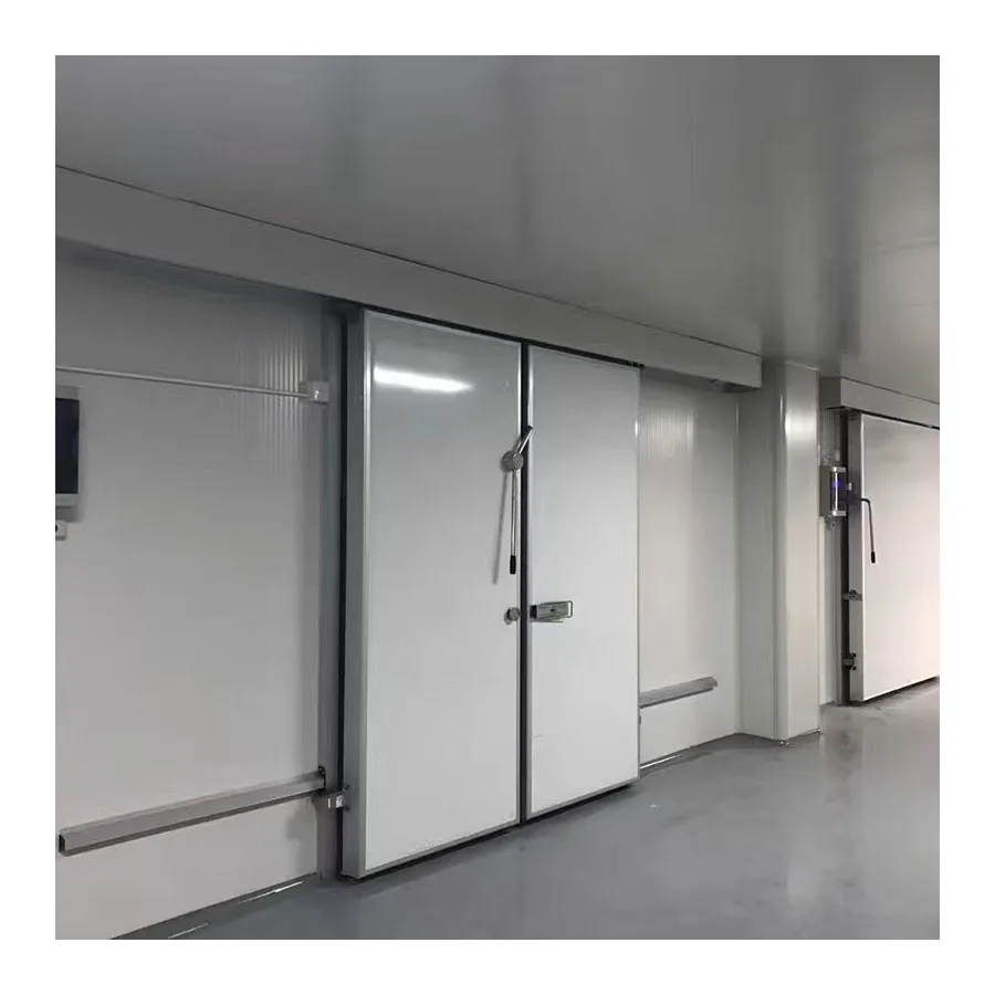 cold room sliding door cold storage camera 1 ton mini freezer