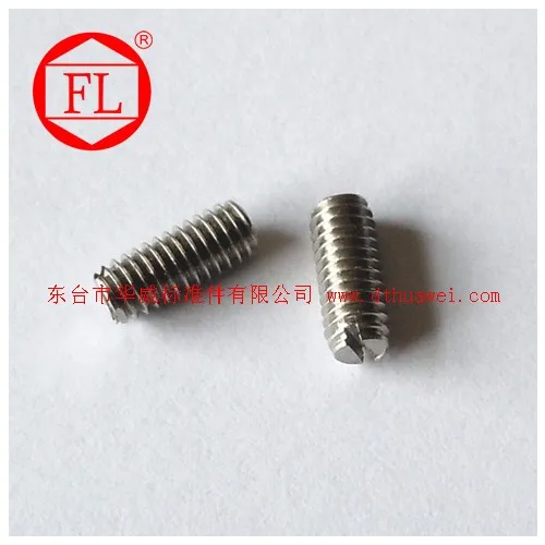 Stainless steel slotted set screw (concave end)