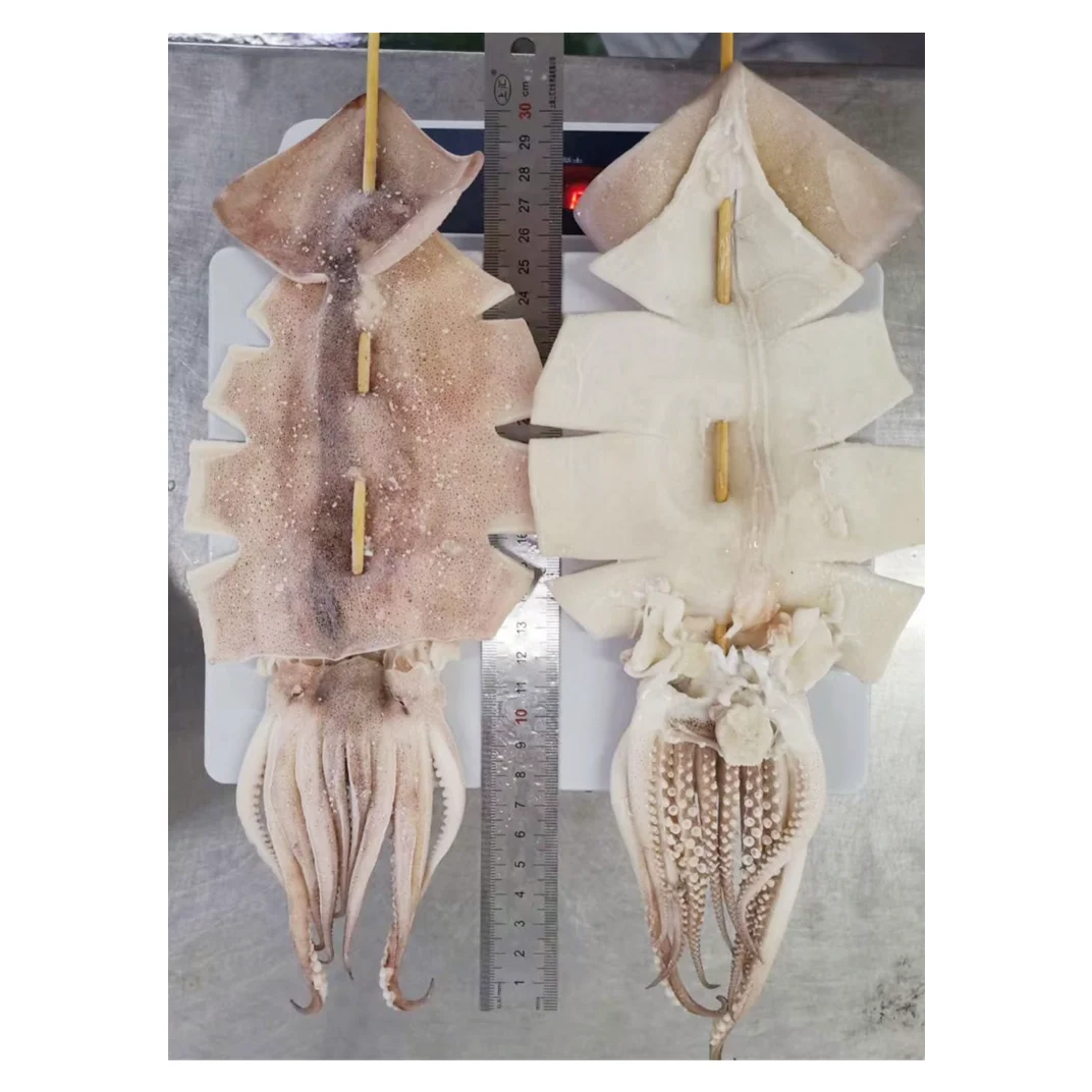 IQF frozen illex argentinus squid skewer in big size