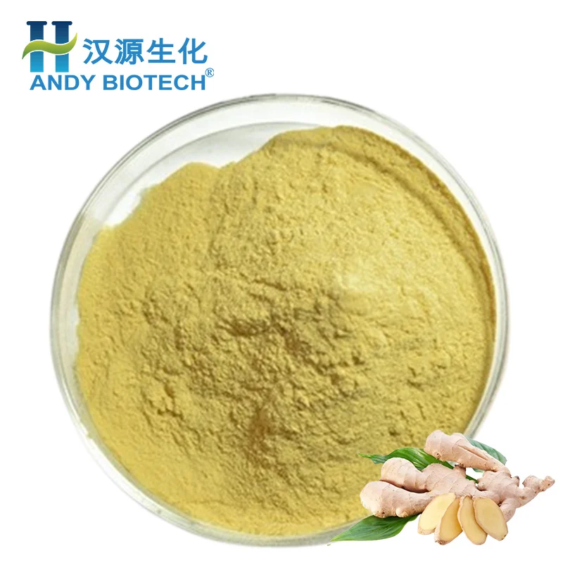Высокое качество 5% Gingerol порошок экстракт корня имбиря