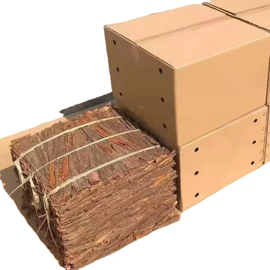 Chinses Premium Quality Cassia Cinnamon Buyer Hot Selling Supplier Price Cinamon Sticks Cinnamon