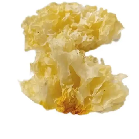High Quality Dried White Tremella Mushrooms Whole Cultivated Source Raw Processing Food Usage Packed in Bag
