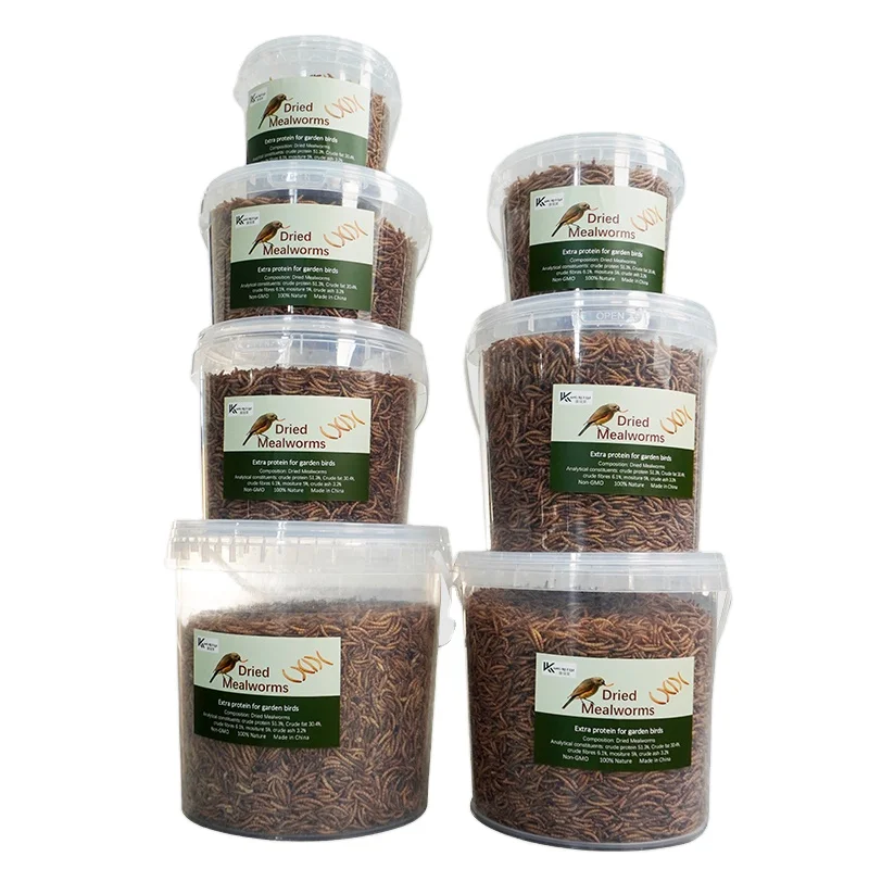 Mealworm Meal Insect Flour Fishfood High Protein