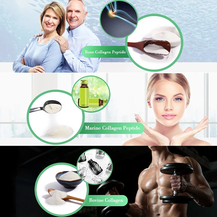 Proteins Grass Fed Beef Fish Skin Anti Aging Cosmetic Grade Collagen Peptides