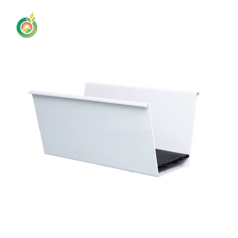 Customized Strawberry Soilless Cultivation System in Agricultural Greenhouse