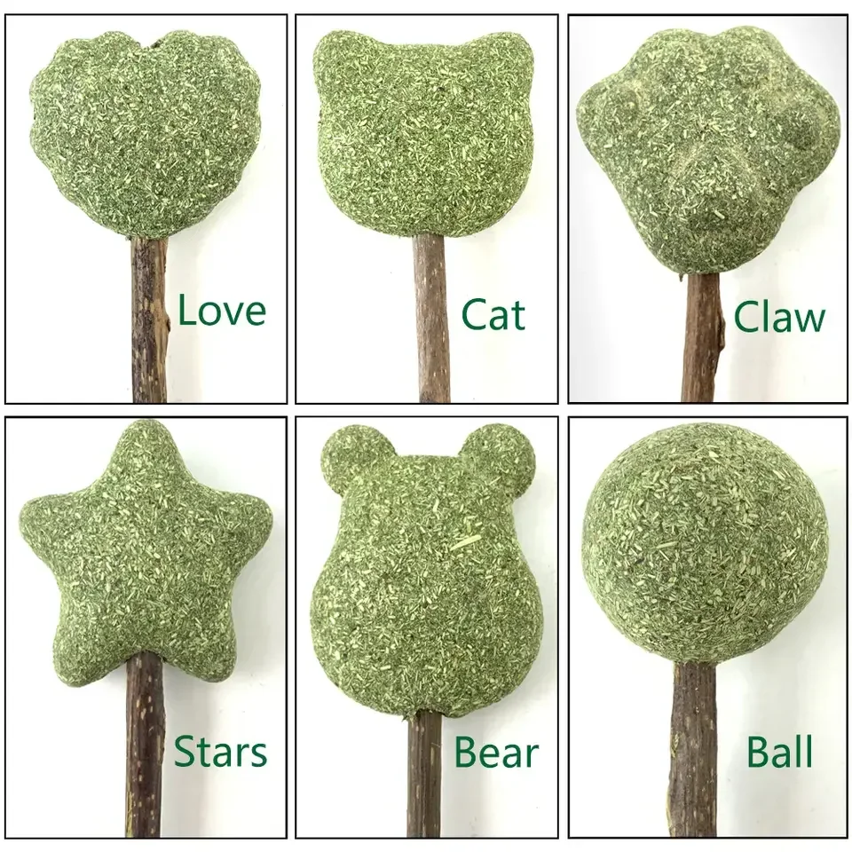 Personalized Cat Ball Toy Kitten Treats Cat Candy Cat Snack Catnip Lollipop