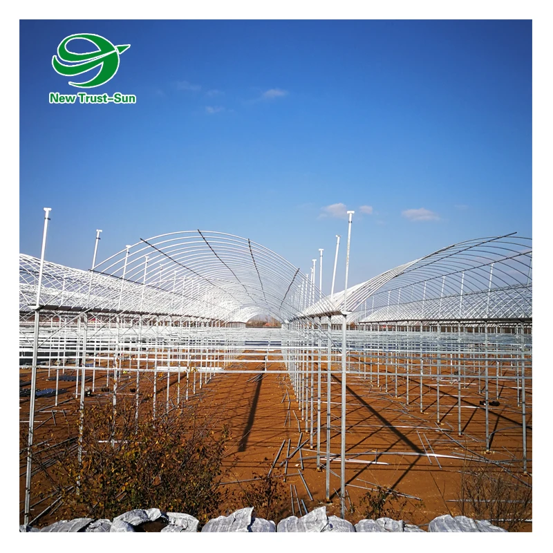 
Hydroponic System Garden Tunnel Multi-span plastic Film Greenhouse 